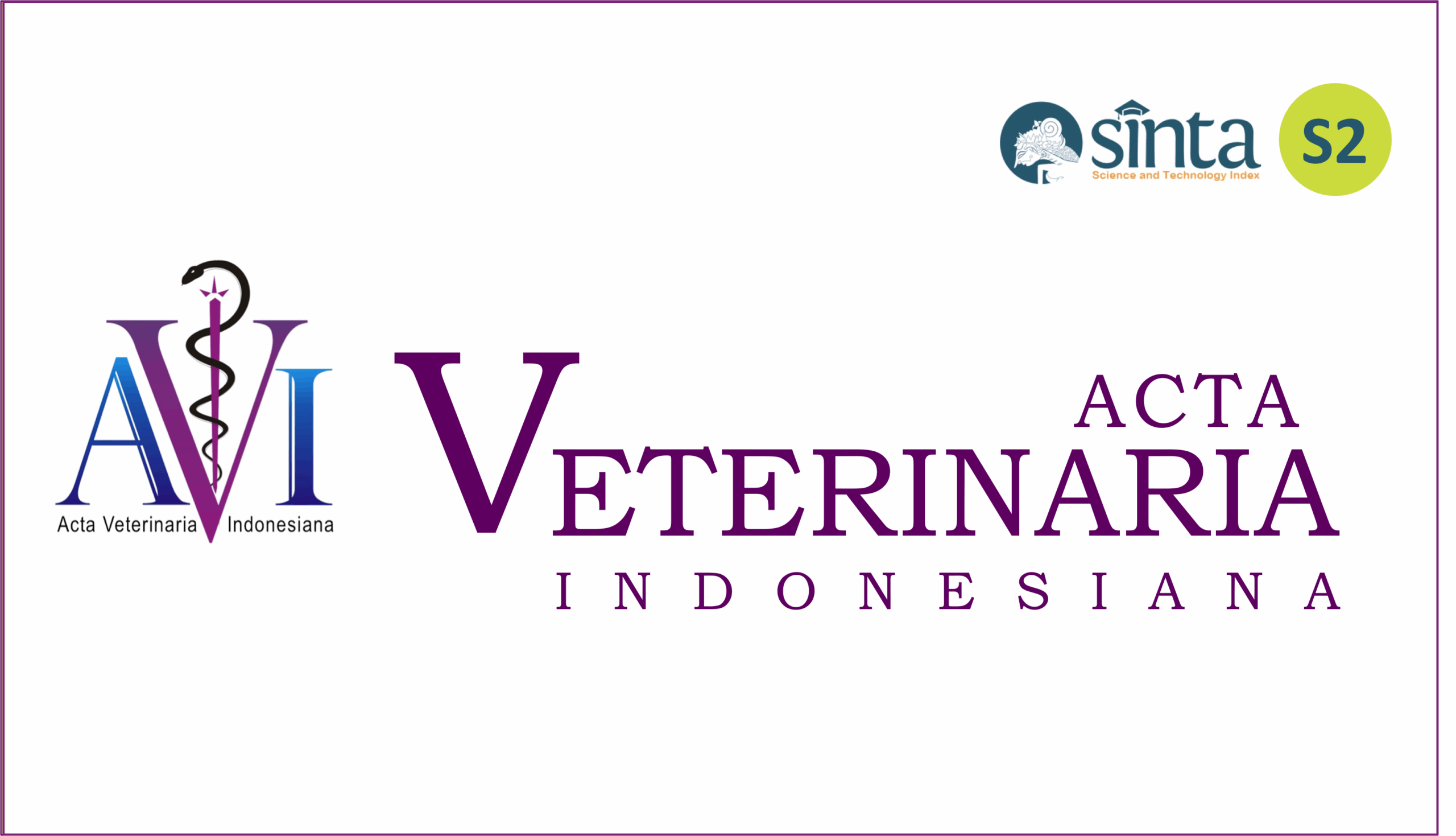 AVI-untuk-Web-scaled