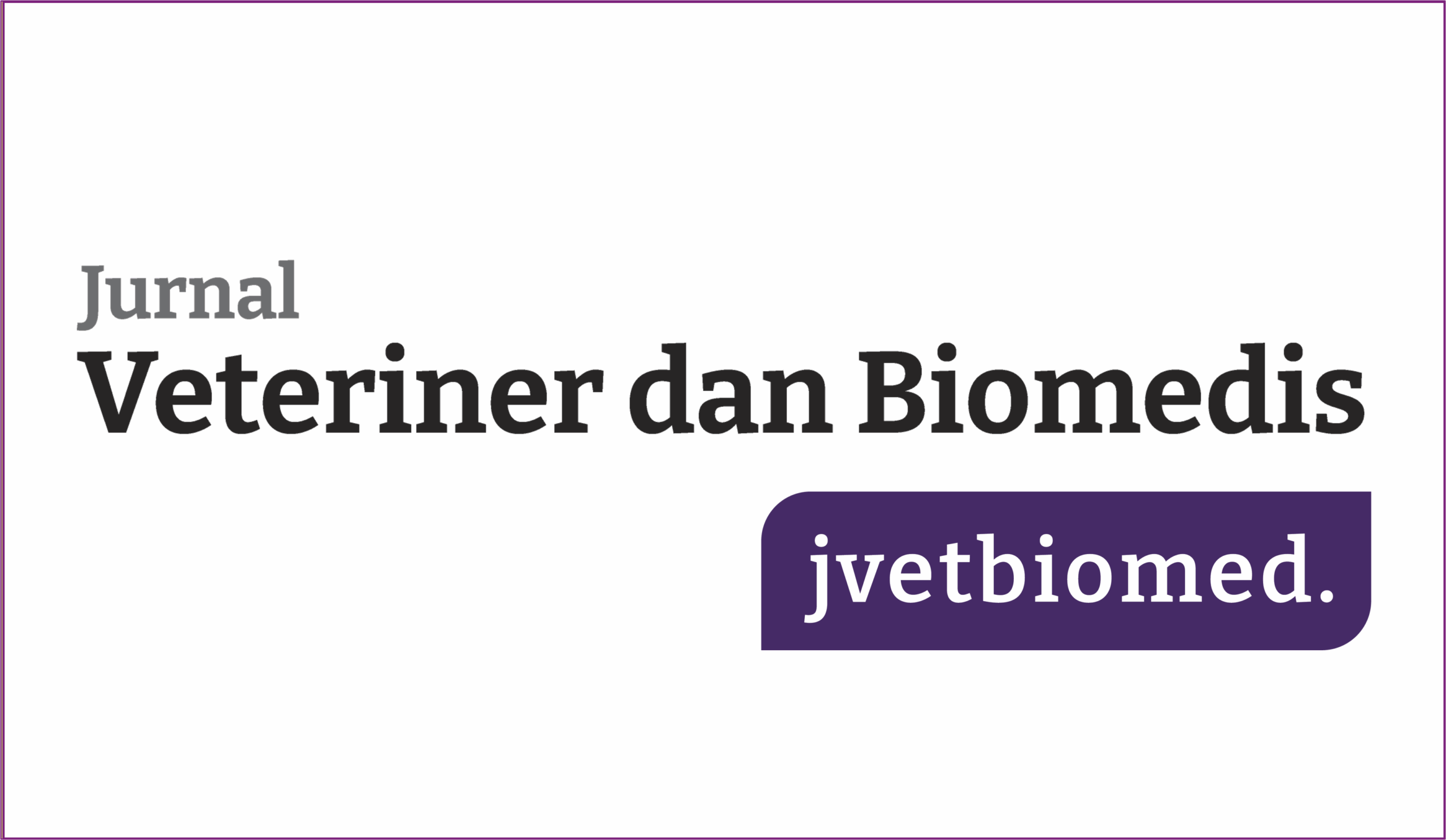 JVB-untuk-Web-scaled